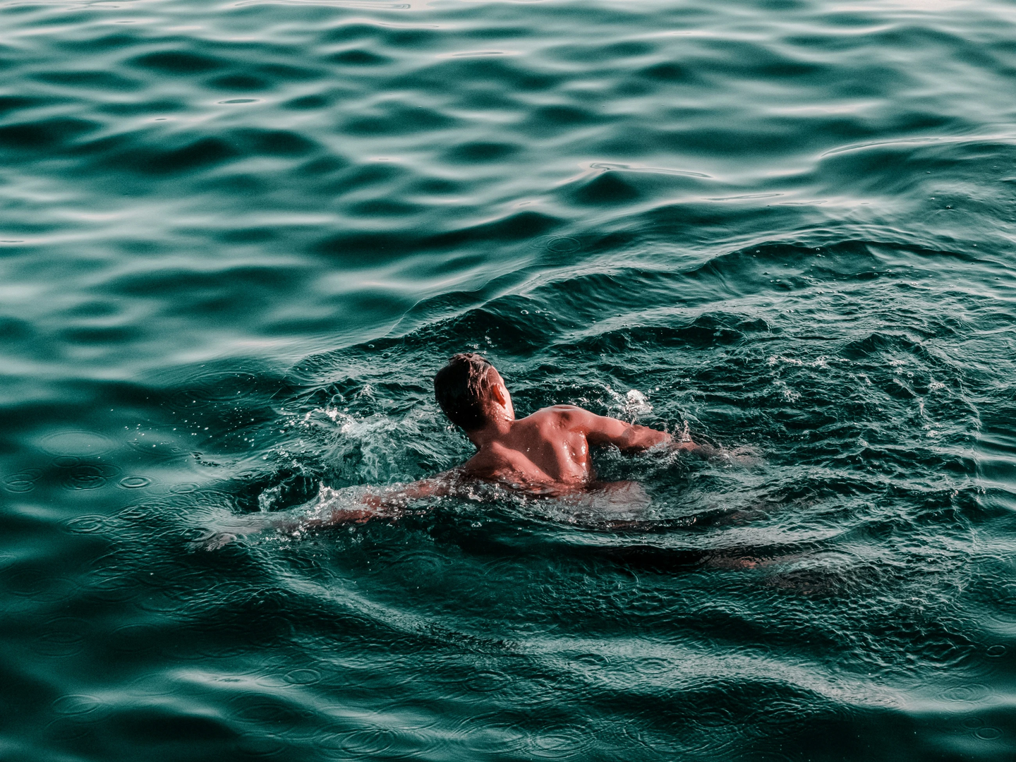 Instagram: www.instagram.com/davidboca/ | © Unsplash / David Boca