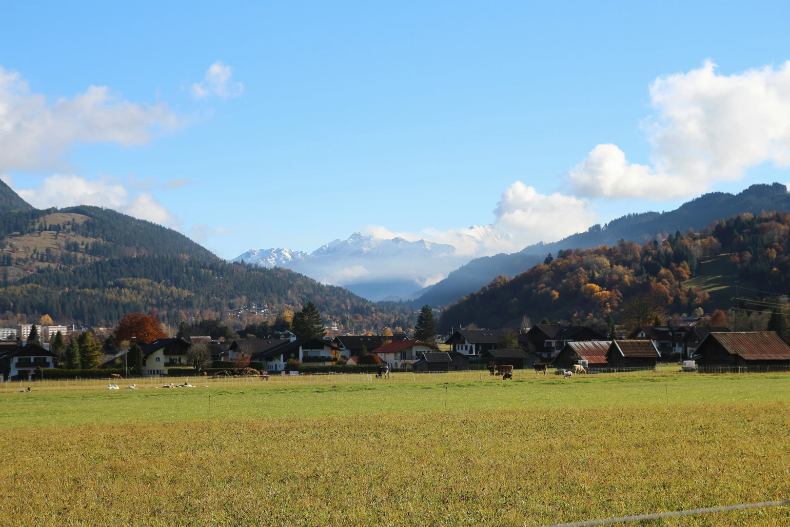 © Unsplash / Gal Cesana