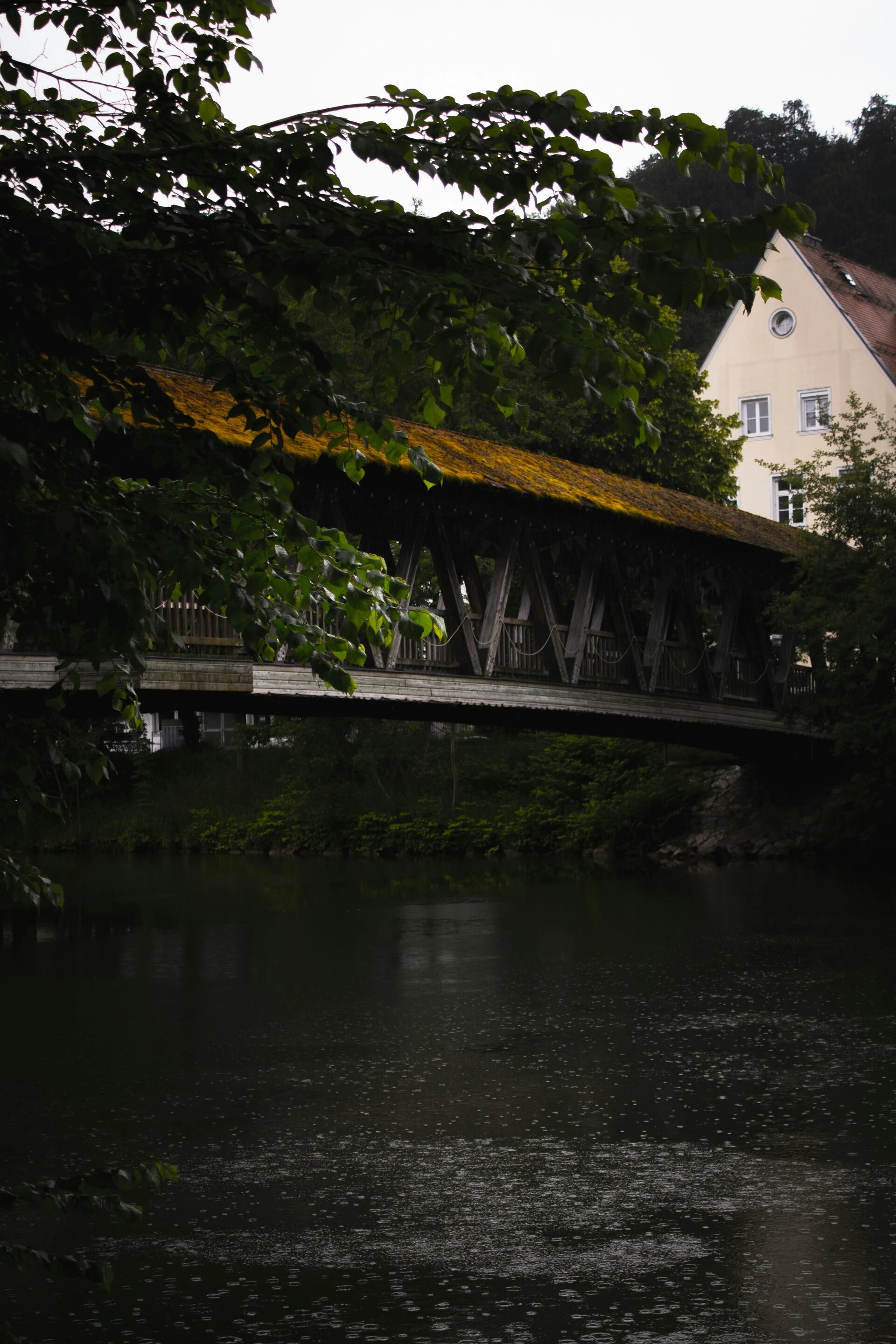 instagram: trenchophotography