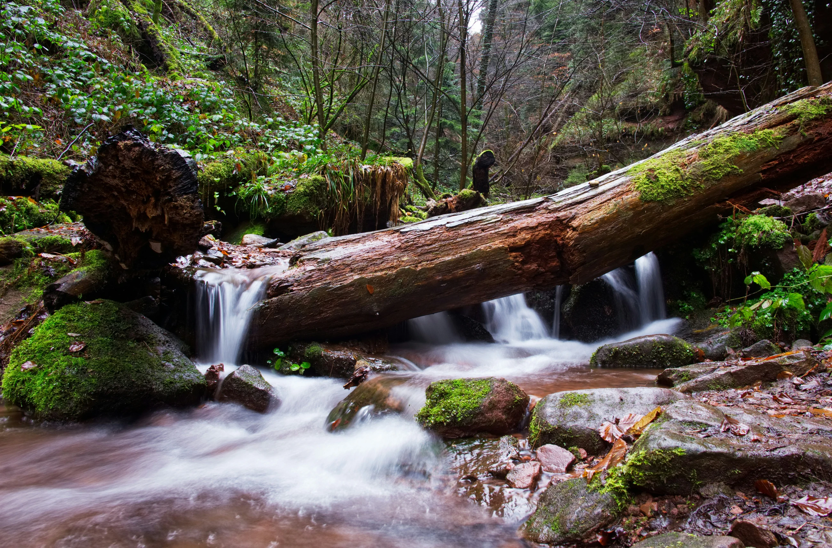 © Unsplash / Joshua Humpfer