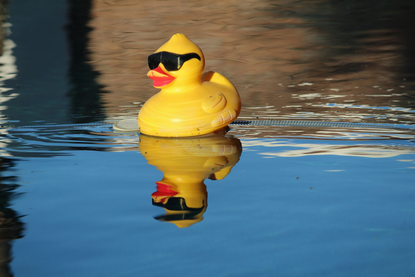 Floating pool duck with sunglasses in swimming pool with reflection.  | © Unsplash / Susan Weber