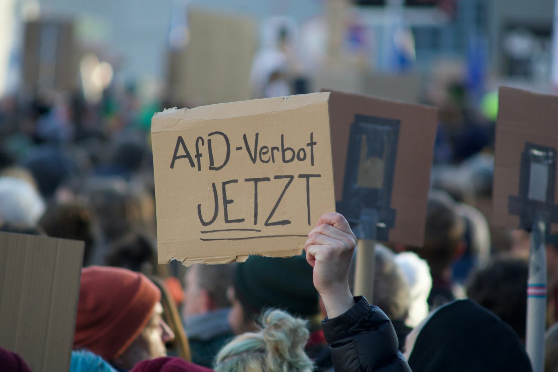 Demonstration gegen die AfD (Alternative für Deutschland) und gegen Rechts in Marburg, Deutschland