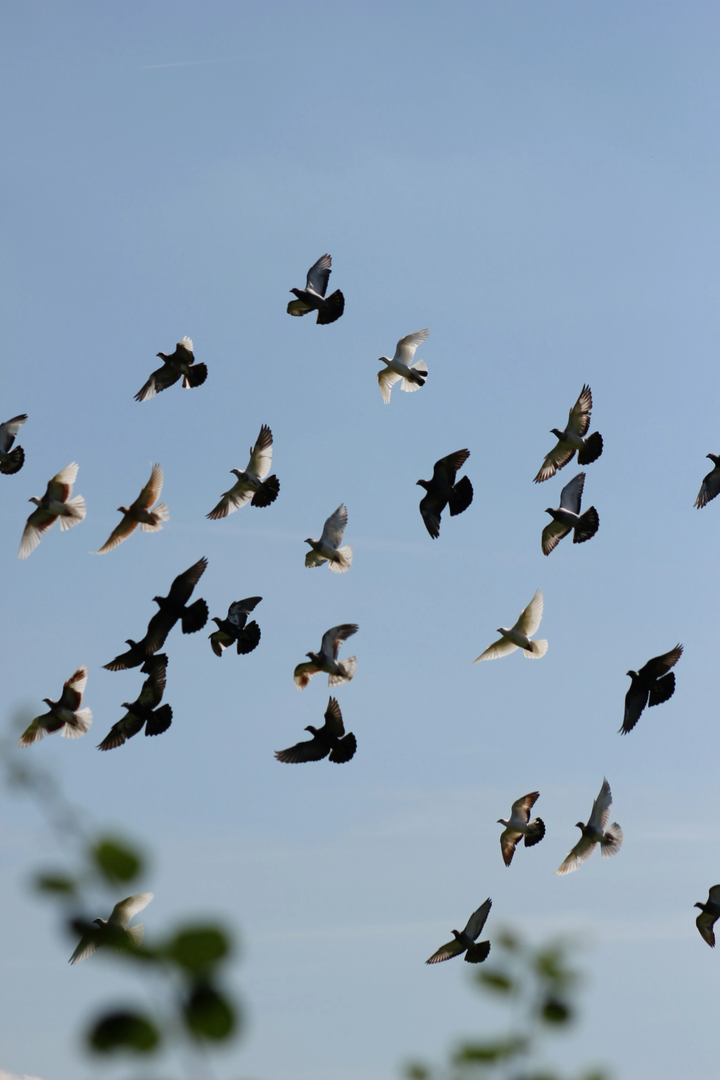 © Unsplash / Dominik Rheinheimer