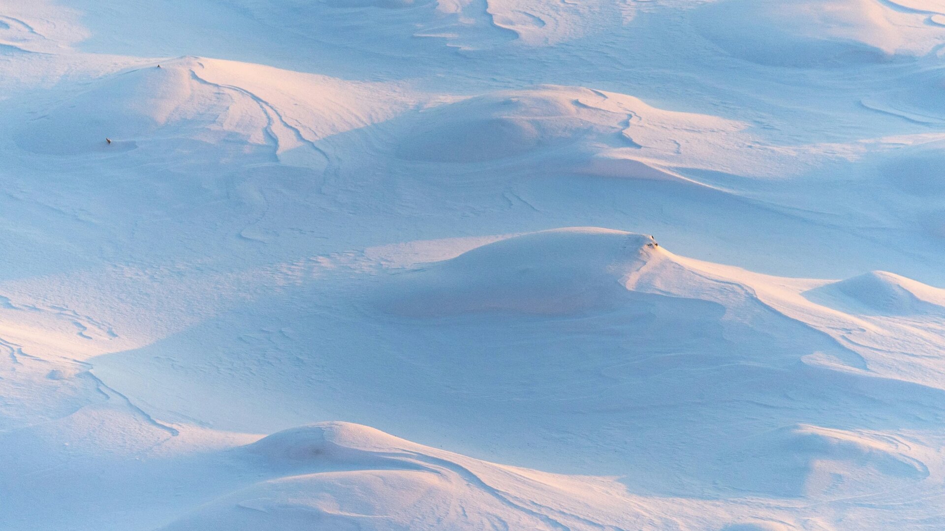 Snow mountain in Russia | © Unsplash / Ant Rozetsky
