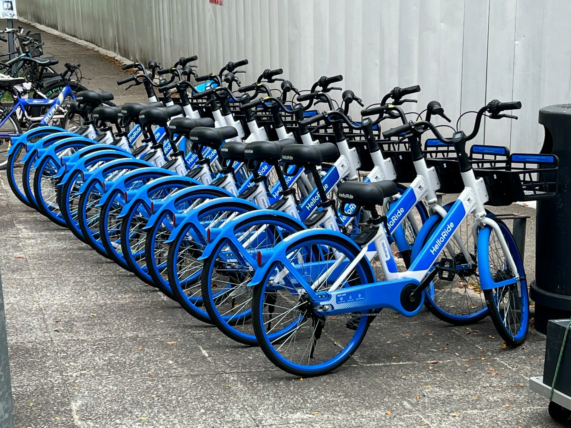 Bike-sharing bicycles parked in Singapore