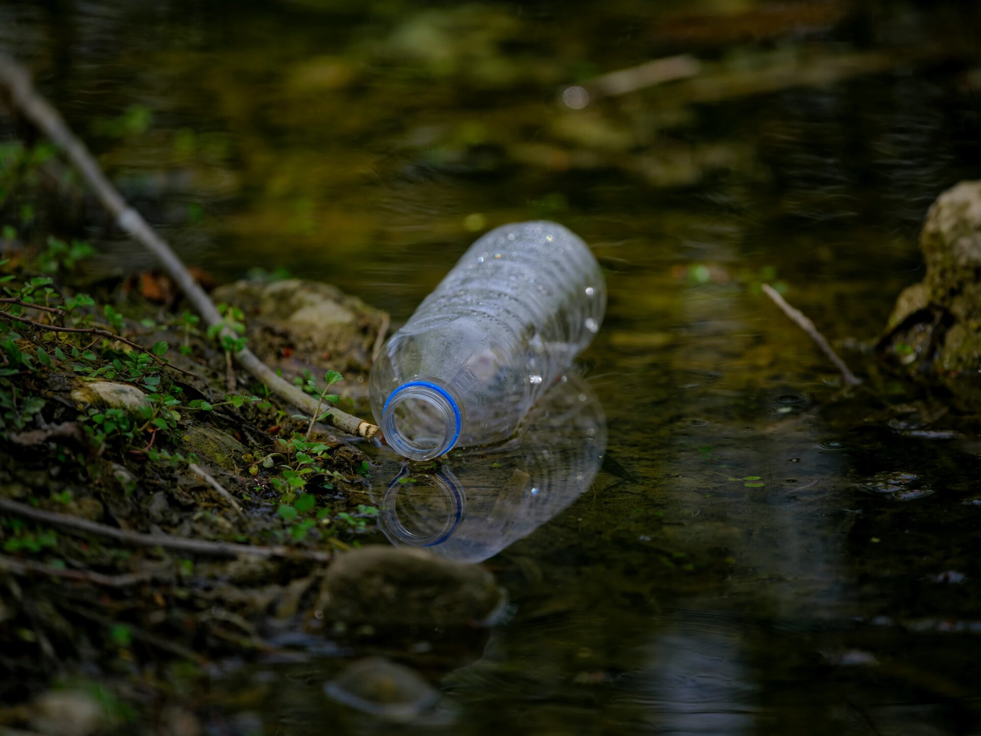 plastic water bottle by the river