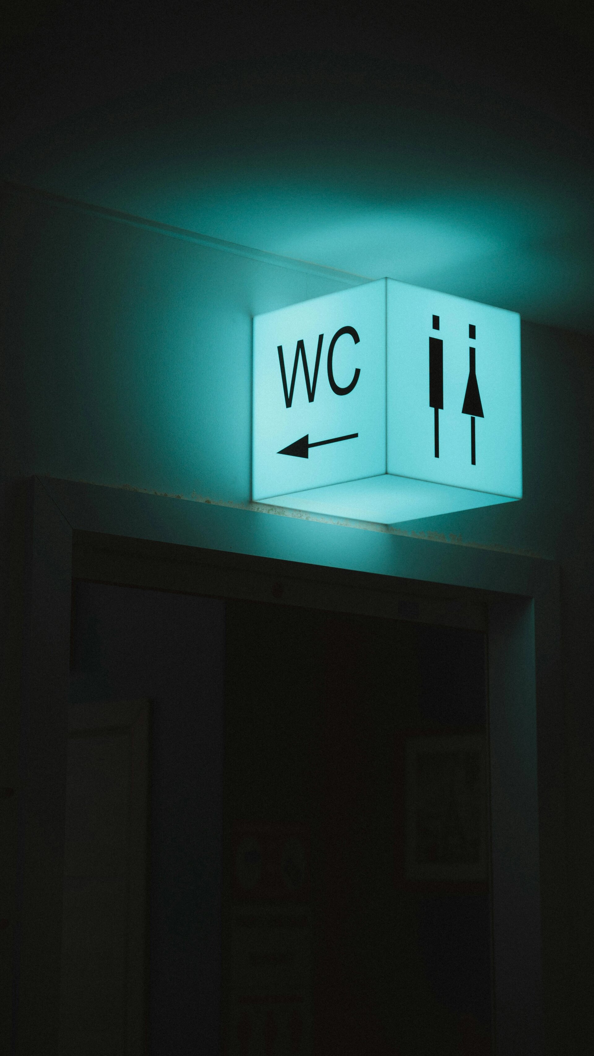 Pointer to the toilet.