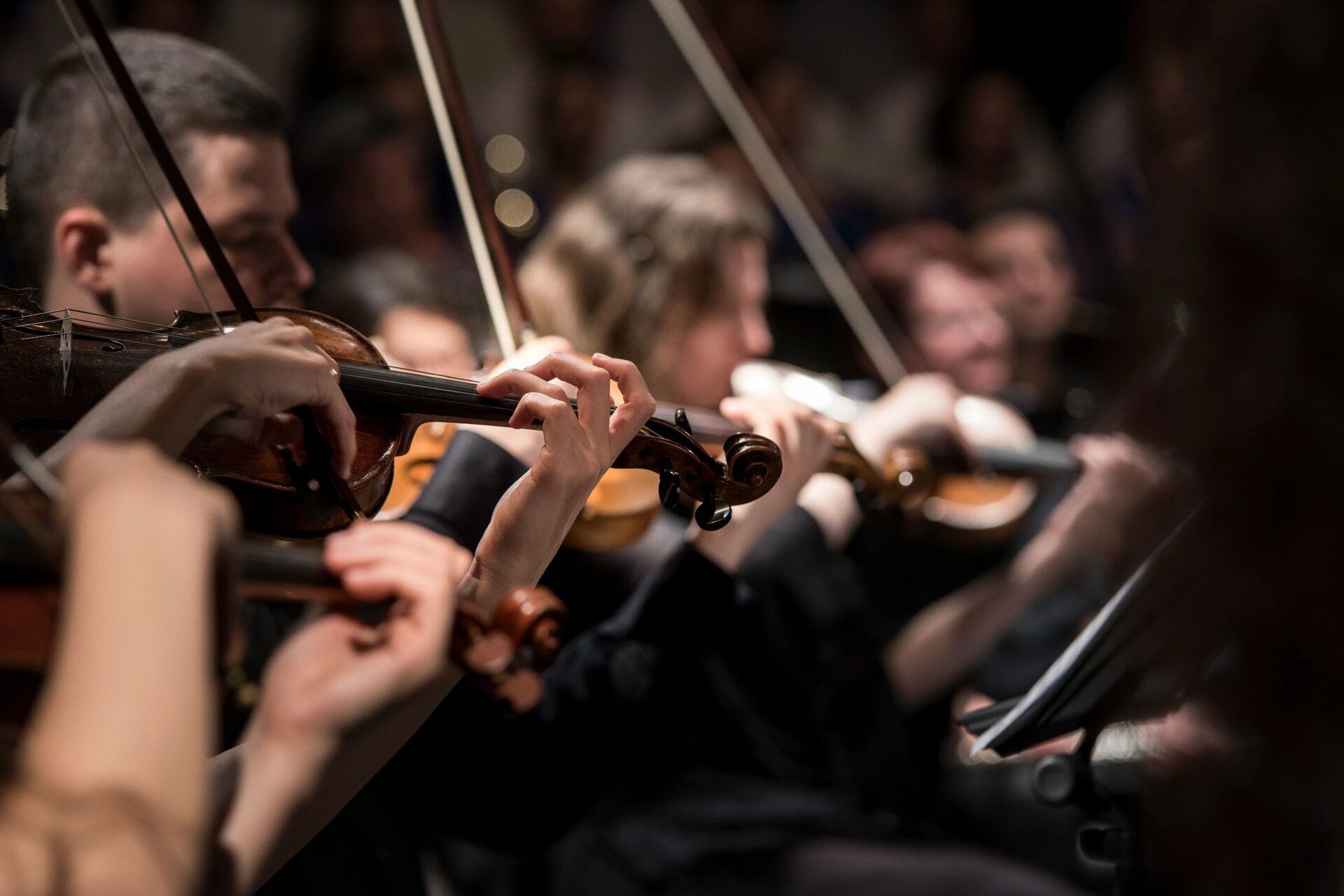 String quartet in Oradea