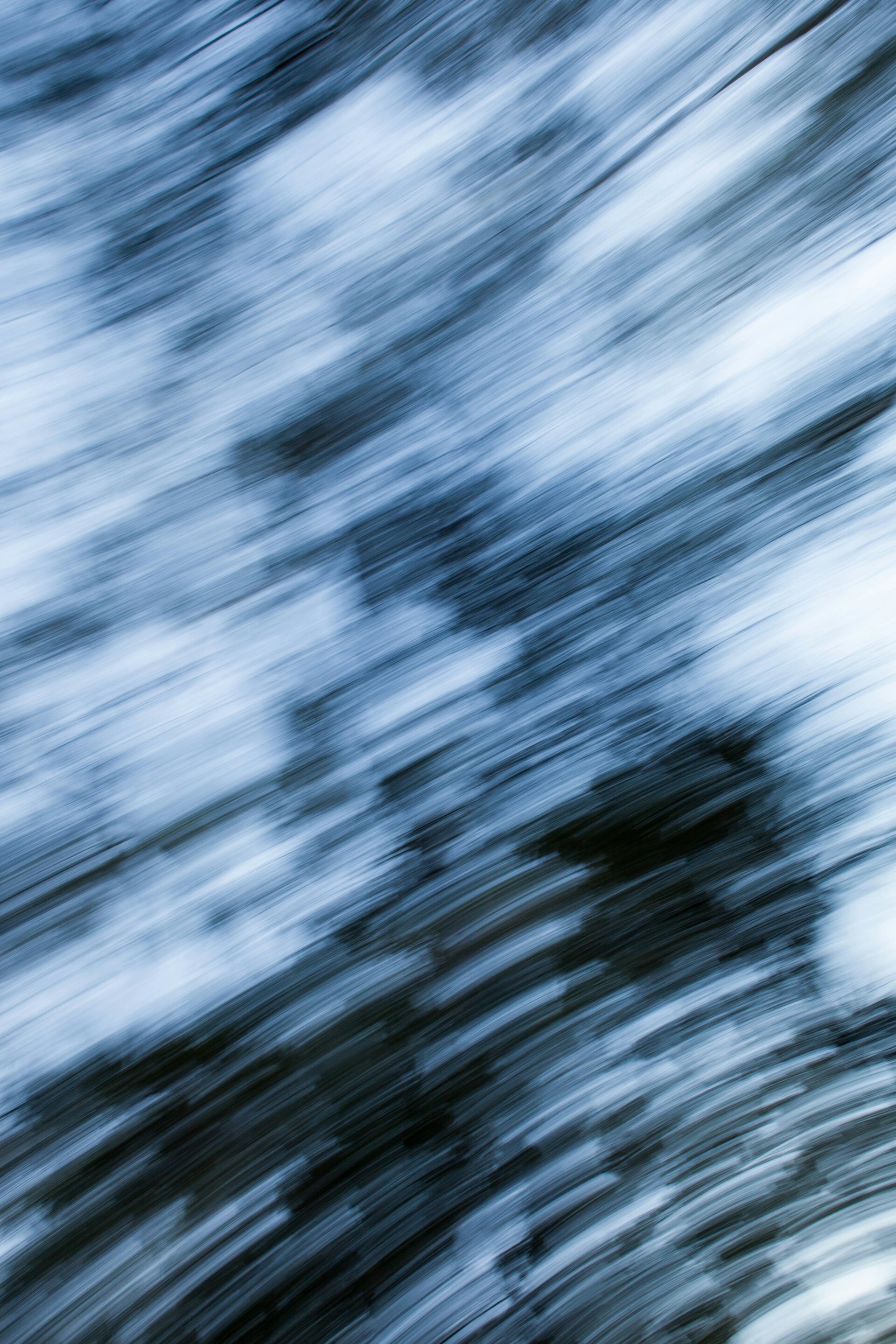 Vivid Forest