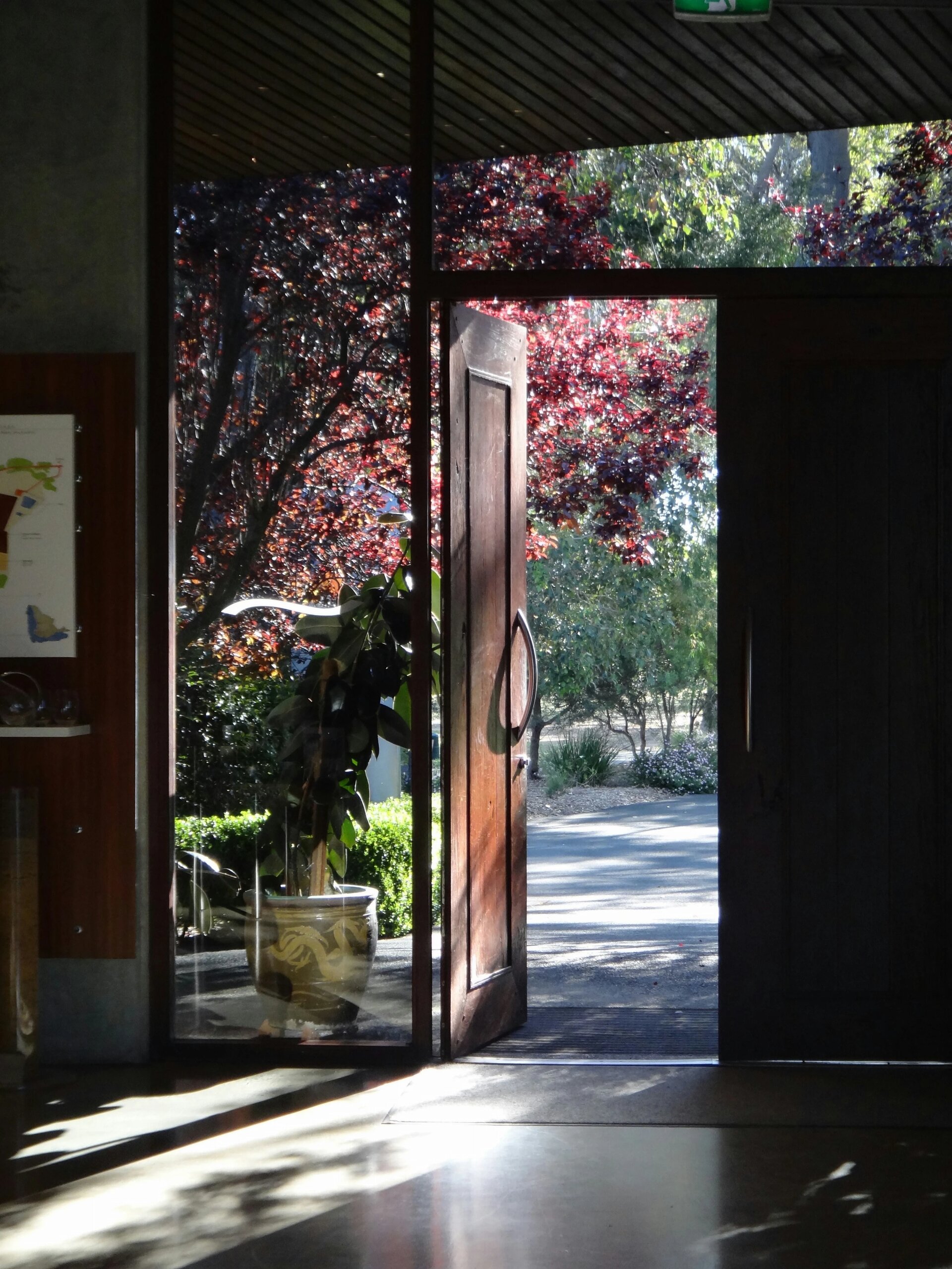 Open door with sunlight shining