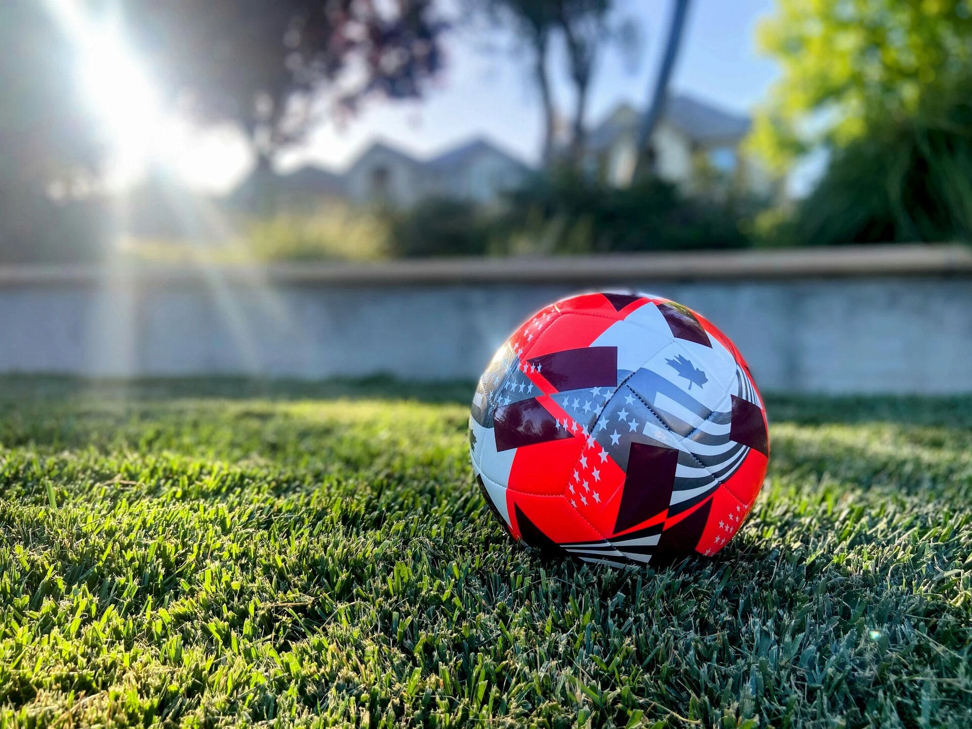 Soccer ball with Canada and USA flags in grass 