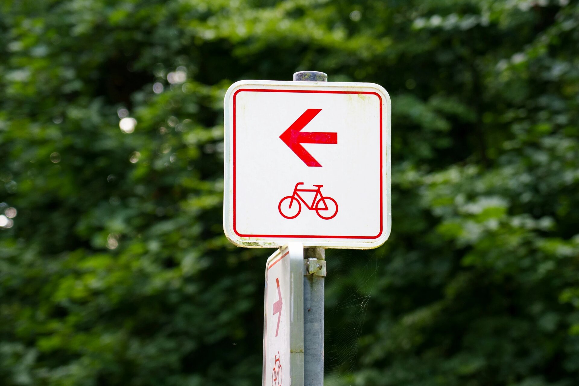 Bicycle Route Sign Left Arrow Forest Background. Road sign for cyclists indicating a left turn, placed in a natural environment with green foliage. Directional guidance for bike paths in outdoor recreational areas